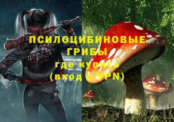 ECSTASY Белокуриха