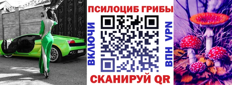Псилоцибиновые грибы Psilocybine cubensis  купить наркотики цена  Киржач 